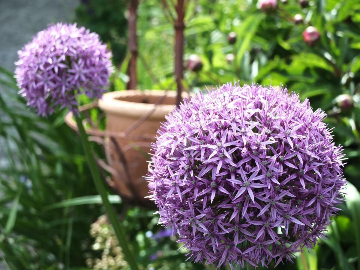 Ferienhaus In Der Schlipfing Mit Garten Altmünster エクステリア 写真