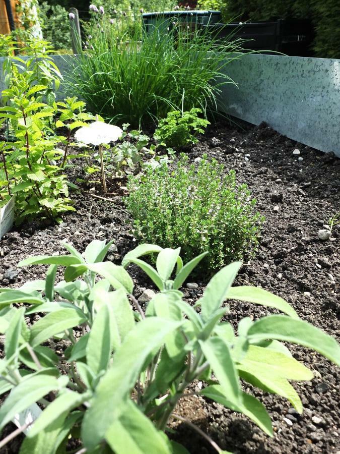 Ferienhaus In Der Schlipfing Mit Garten Altmünster エクステリア 写真