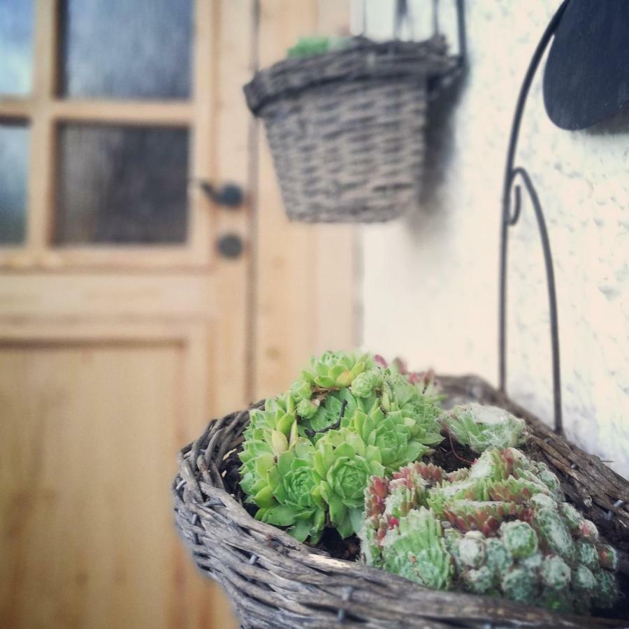 Ferienhaus In Der Schlipfing Mit Garten Altmünster エクステリア 写真